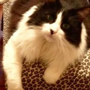 Meet your Posher, Grace